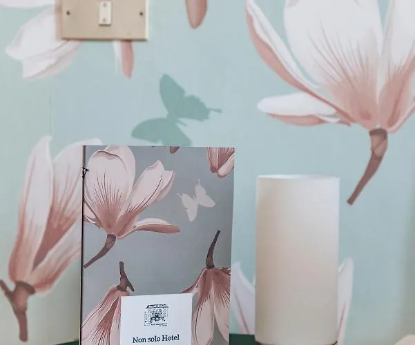 Aurora 3* 베르바니아